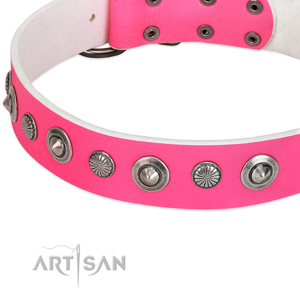 Genuine leather collar with rust-proof buckle for your impressive doggie