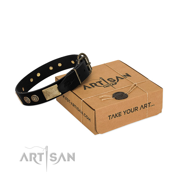 Rust resistant studs on full grain leather dog collar for your four-legged friend