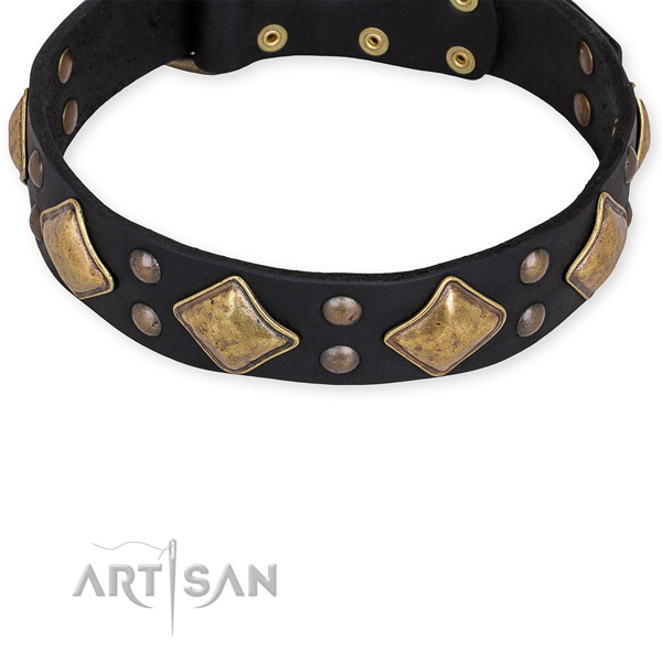 Full grain leather dog collar with amazing durable decorations