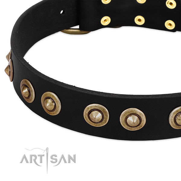 Reliable buckle on full grain natural leather dog collar for your four-legged friend