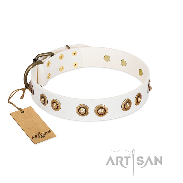 Fine quality full grain leather collar for your four-legged friend