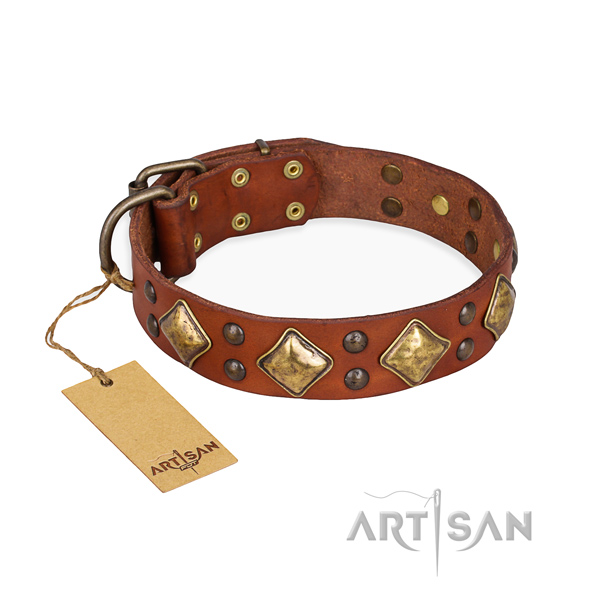 Basic training extraordinary dog collar with corrosion proof hardware