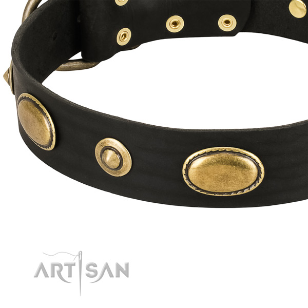 Corrosion proof studs on full grain natural leather dog collar for your canine
