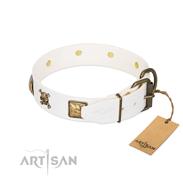 Remarkable full grain leather dog collar with corrosion proof adornments