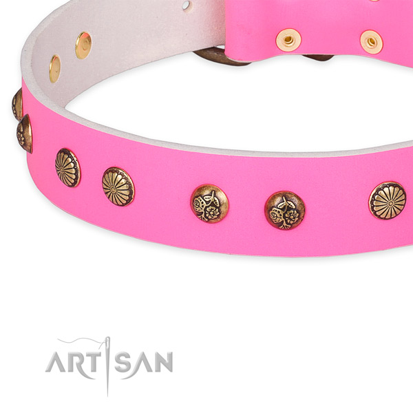 Natural genuine leather collar with rust resistant buckle for your attractive dog