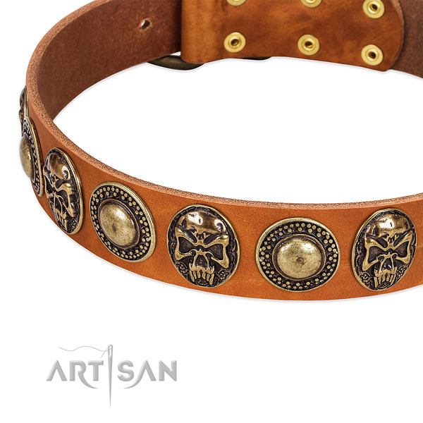 Rust resistant adornments on genuine leather dog collar for your four-legged friend