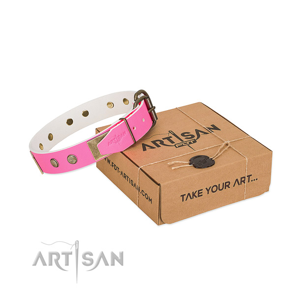 Reliable traditional buckle on dog collar for daily use