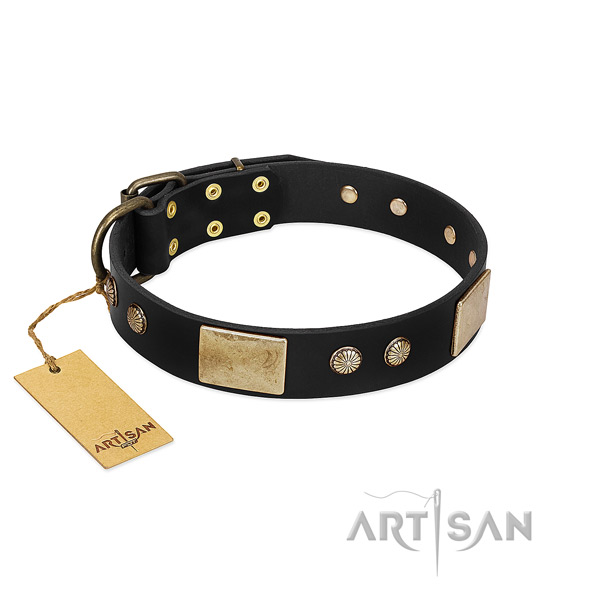 Easy to adjust leather dog collar for everyday walking your dog