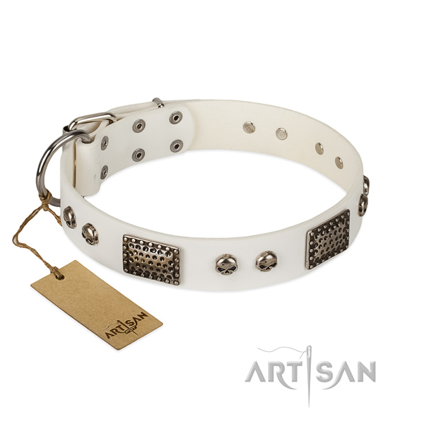 Adjustable genuine leather dog collar for walking your four-legged friend