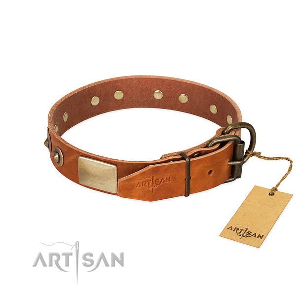 Corrosion resistant D-ring on daily walking dog collar