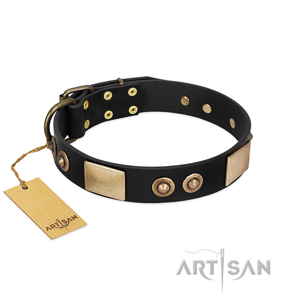 Easy to adjust full grain genuine leather dog collar for stylish walking your dog