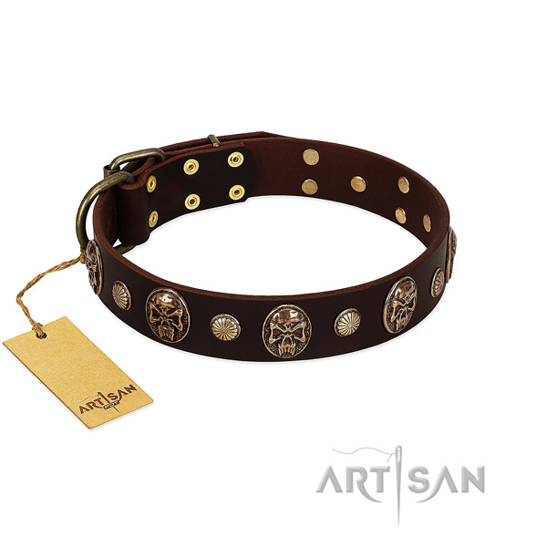 Significant natural genuine leather dog collar for everyday use