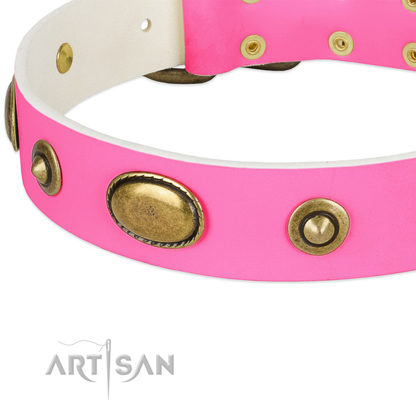 Reliable fittings on full grain genuine leather dog collar for your canine