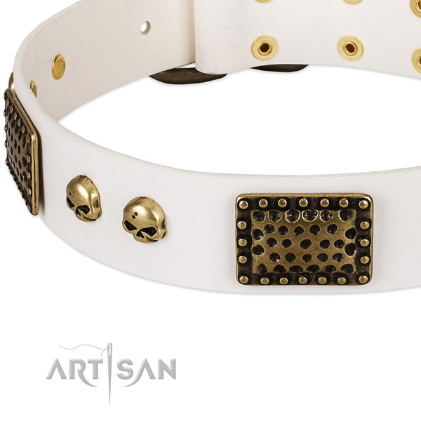 Corrosion resistant buckle on full grain genuine leather dog collar for your canine