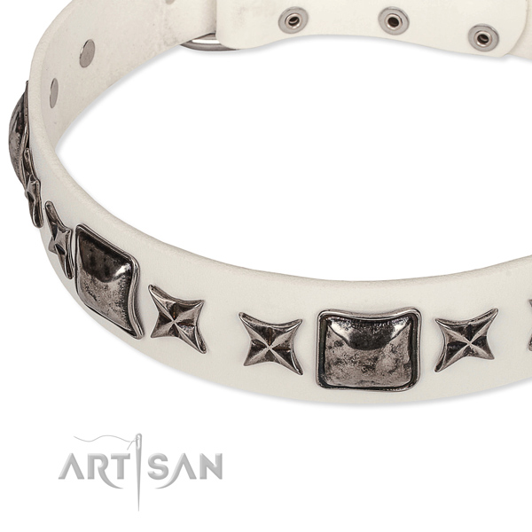 Fancy walking studded dog collar of quality full grain leather