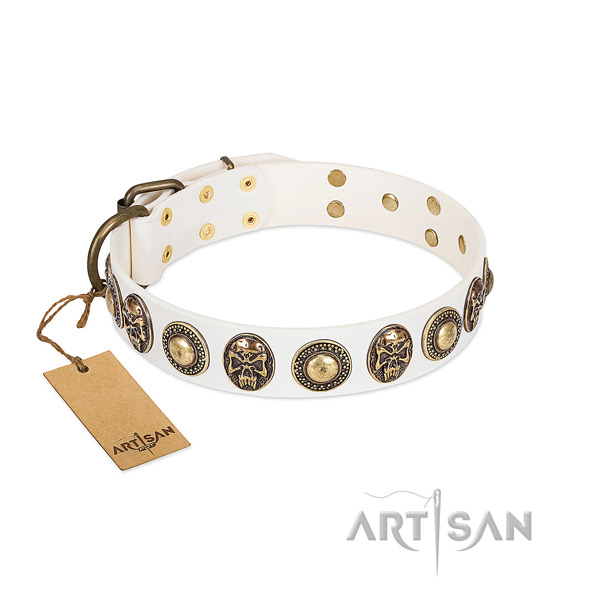 Easy wearing full grain natural leather dog collar for stylish walking your pet