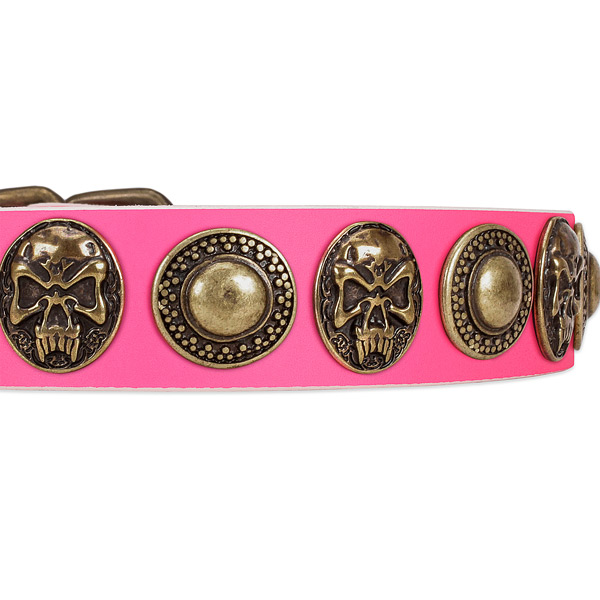 Durable buckle on full grain leather dog collar for your canine