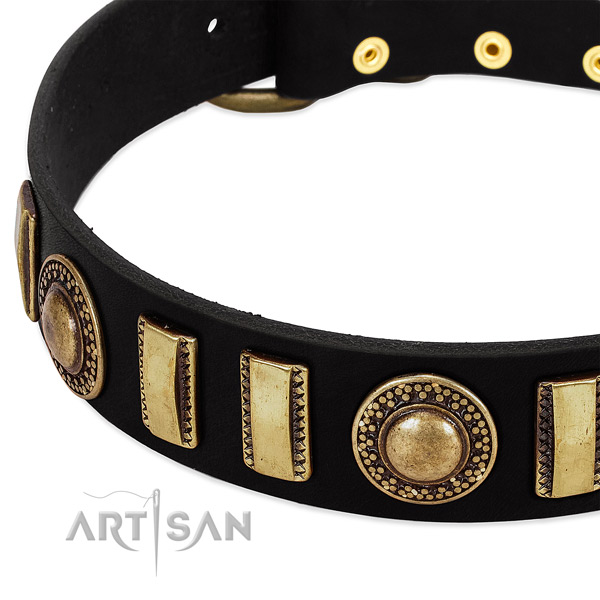 Quality full grain leather dog collar with rust-proof D-ring