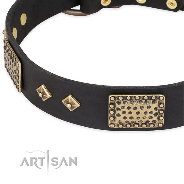 Corrosion proof fittings on full grain leather dog collar for your doggie