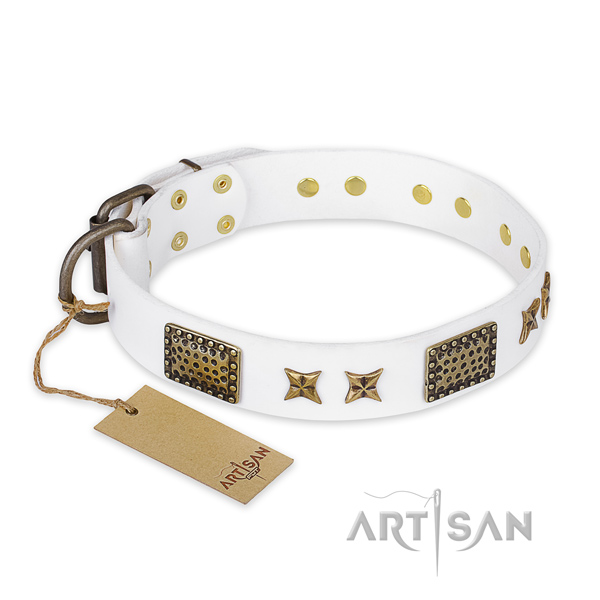 Awesome full grain leather dog collar with durable buckle