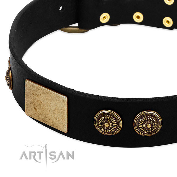 Rust-proof studs on full grain natural leather dog collar for your canine