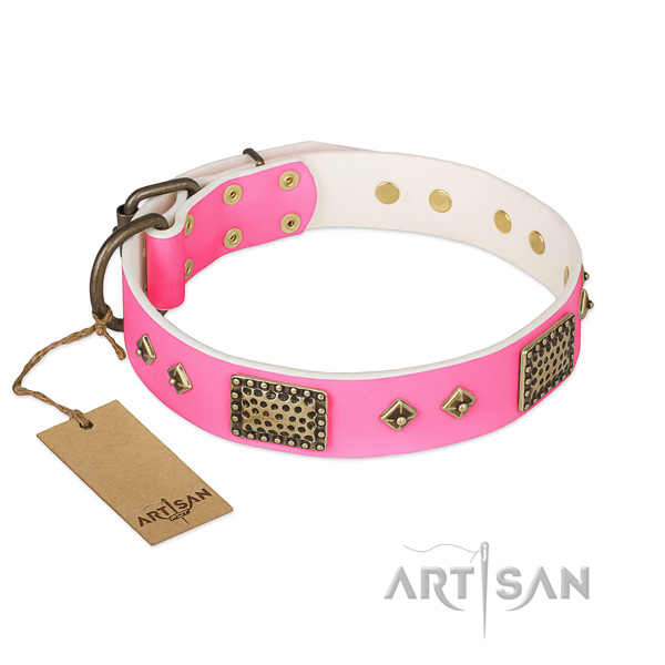 Adjustable full grain natural leather dog collar for stylish walking your dog