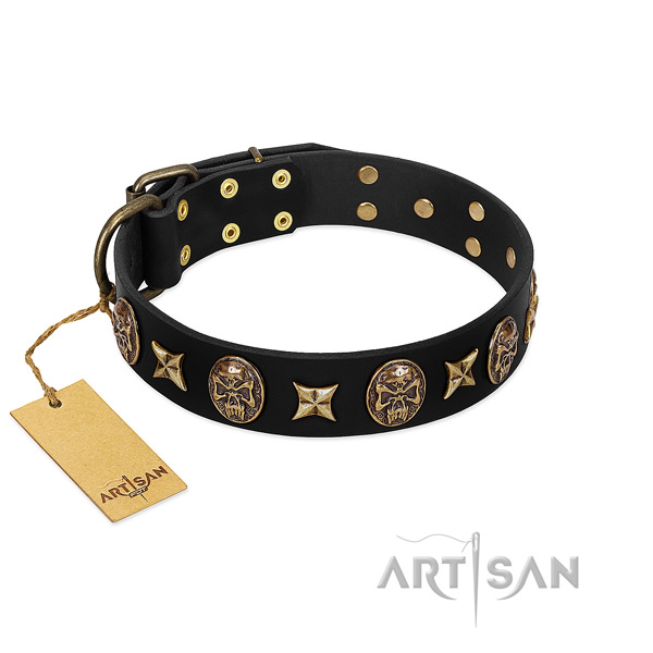 Stylish leather collar for your doggie