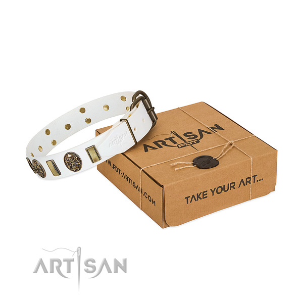 Rust resistant traditional buckle on natural genuine leather dog collar for basic training