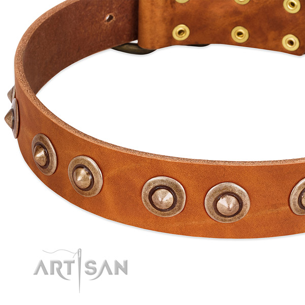 Corrosion resistant hardware on full grain natural leather dog collar for your dog