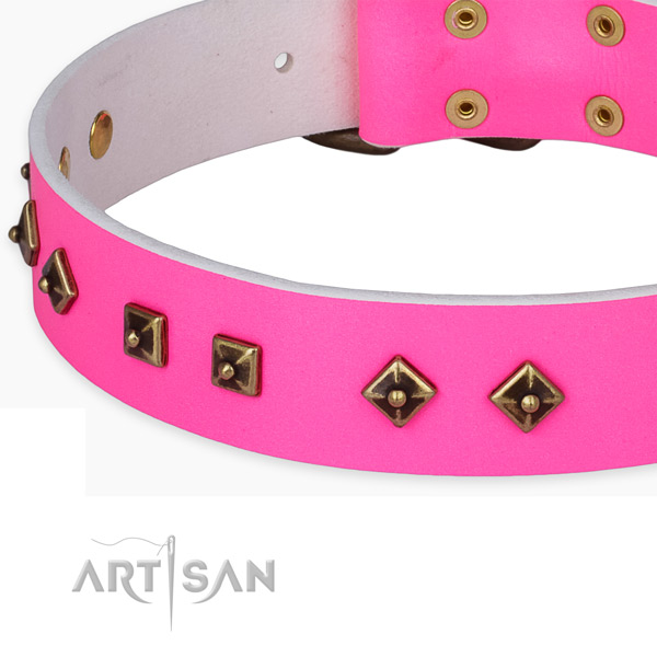 Embellished full grain genuine leather collar for your impressive pet