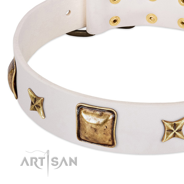 Corrosion proof hardware on leather dog collar for your canine