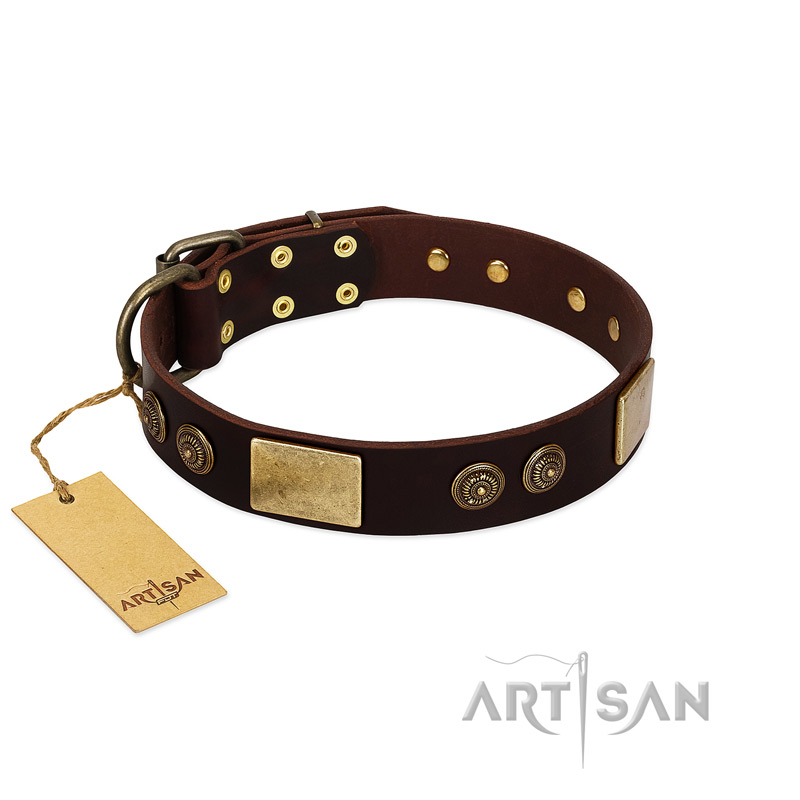 Bow-Wow Effect FDT Artisan Brown Leather Dog Collar With Plates