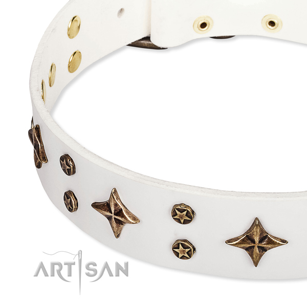 Stylish walking decorated dog collar of high quality natural leather