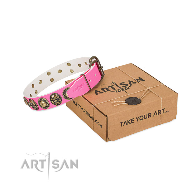 Rust resistant traditional buckle on dog collar for comfortable wearing