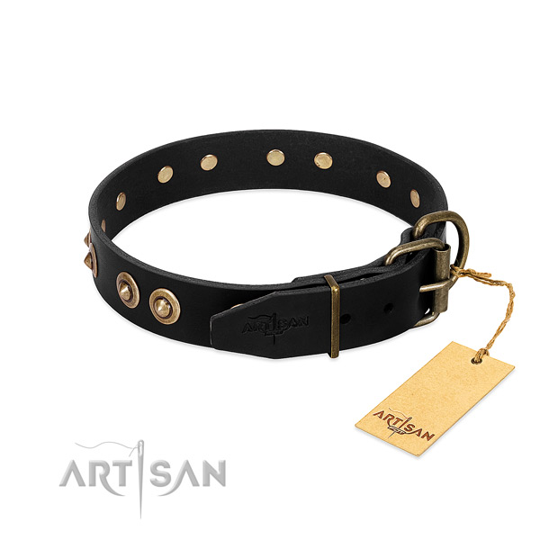 Corrosion proof buckle on leather dog collar for your dog