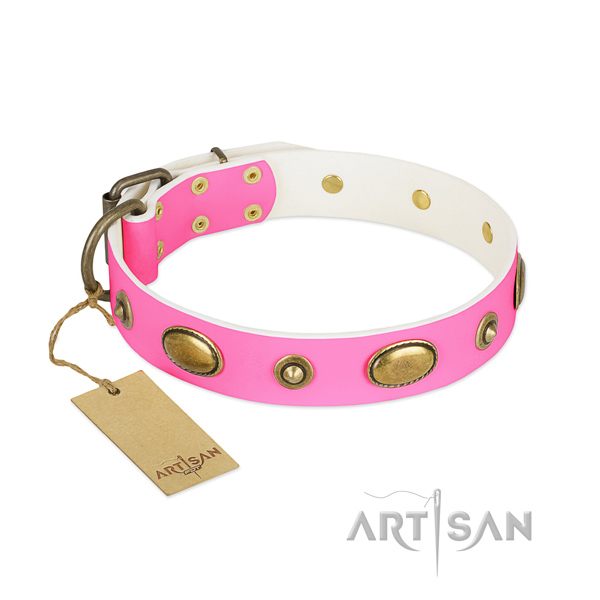 Impressive full grain natural leather collar for your four-legged friend