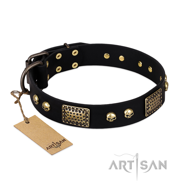Easy wearing leather dog collar for basic training your doggie