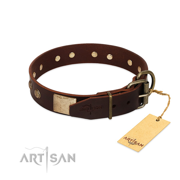 Corrosion proof fittings on daily use dog collar