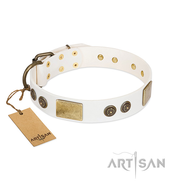 Remarkable leather dog collar for walking
