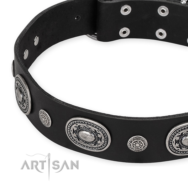Quality leather dog collar created for your lovely doggie