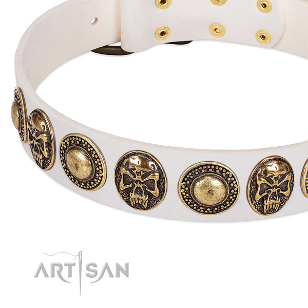 Rust-proof studs on genuine leather dog collar for your four-legged friend