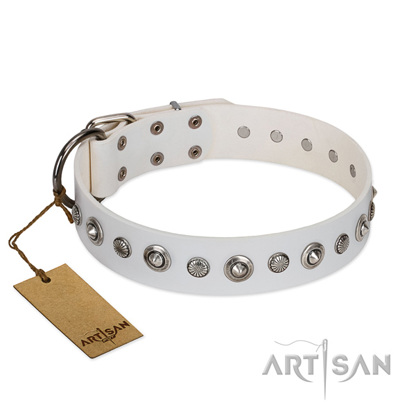 Finest quality full grain natural leather dog collar with amazing adornments