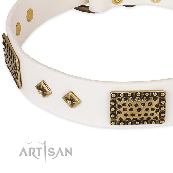 Durable embellishments on genuine leather dog collar for your four-legged friend