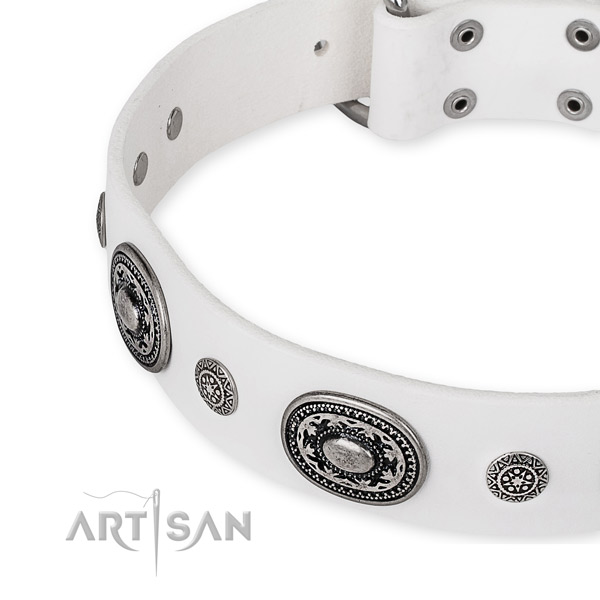 Quality full grain natural leather dog collar made for your impressive four-legged friend
