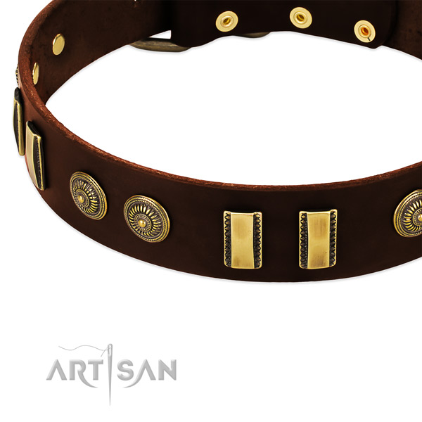 Durable embellishments on full grain leather dog collar for your canine