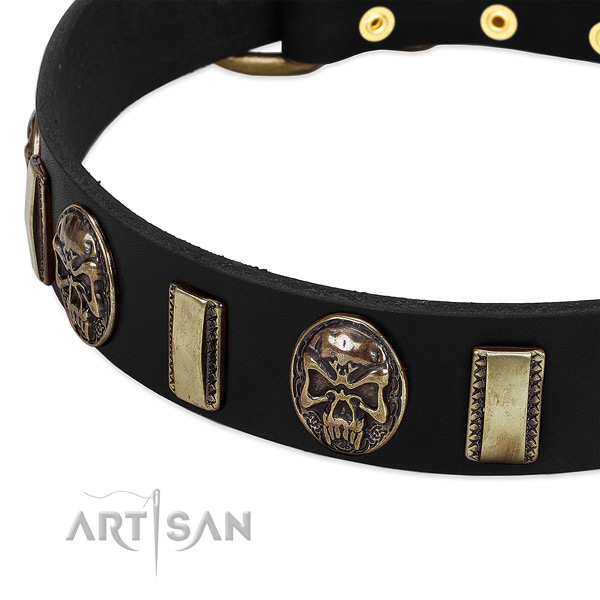 Reliable buckle on natural genuine leather dog collar for your four-legged friend