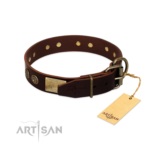 Reliable D-ring on genuine leather dog collar for your dog