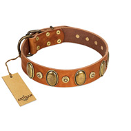 "Crystal Sand" FDT Artisan Tan Leather dog Collar with Vintage Looking Oval and Round Studs