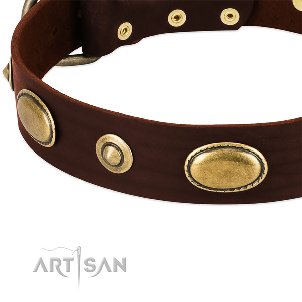 Corrosion resistant traditional buckle on leather dog collar for your pet