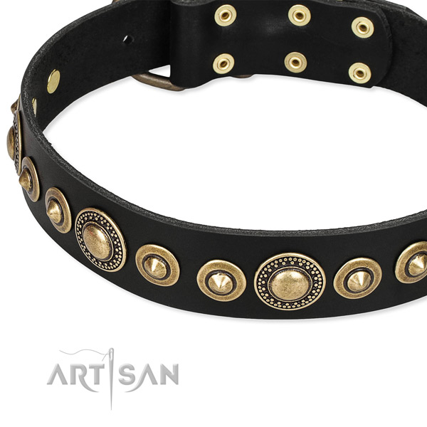 Gentle to touch leather dog collar crafted for your beautiful canine